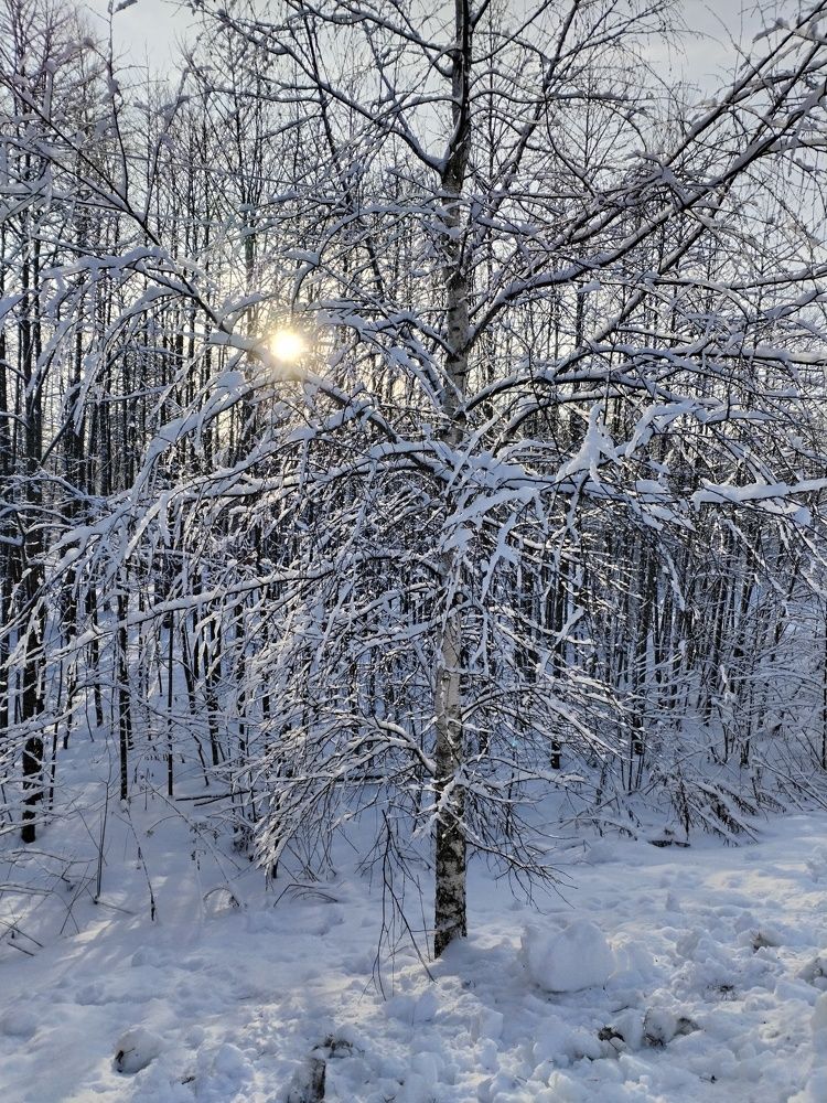 Photograph by Юлия Меркулова