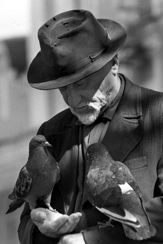 Photograph by Cергей Абакумов