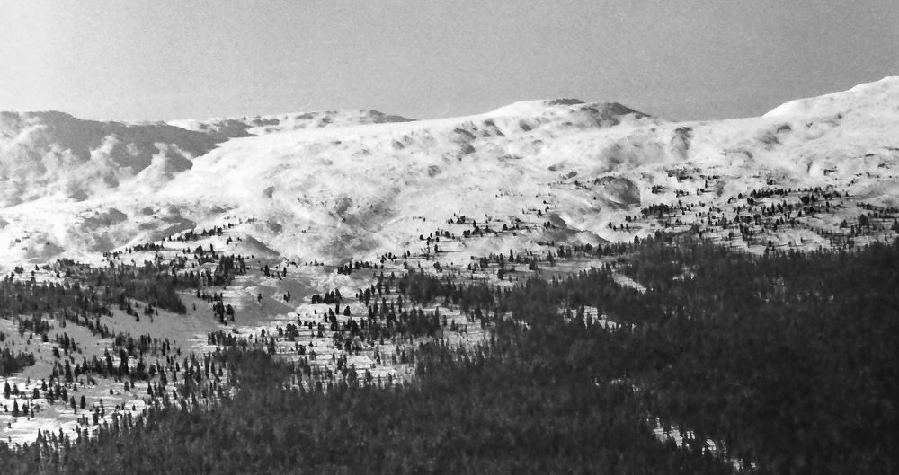 Photograph by Сергей Петров