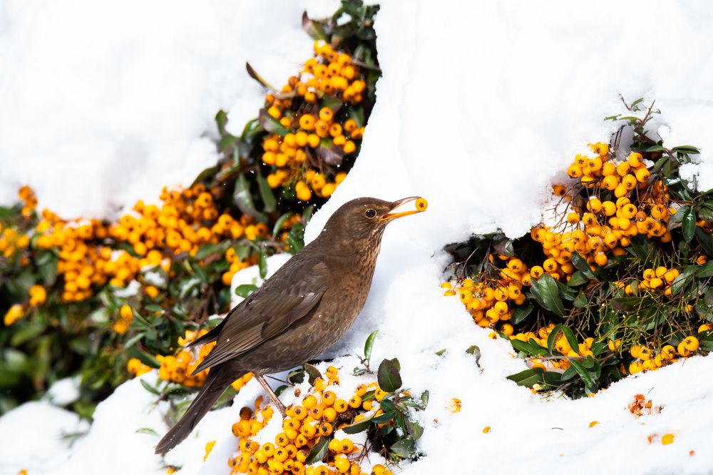 Photograph by Николай Абрамов
