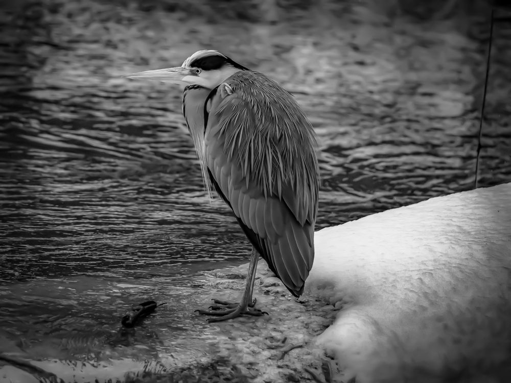 Photograph by Andrea Barlotti