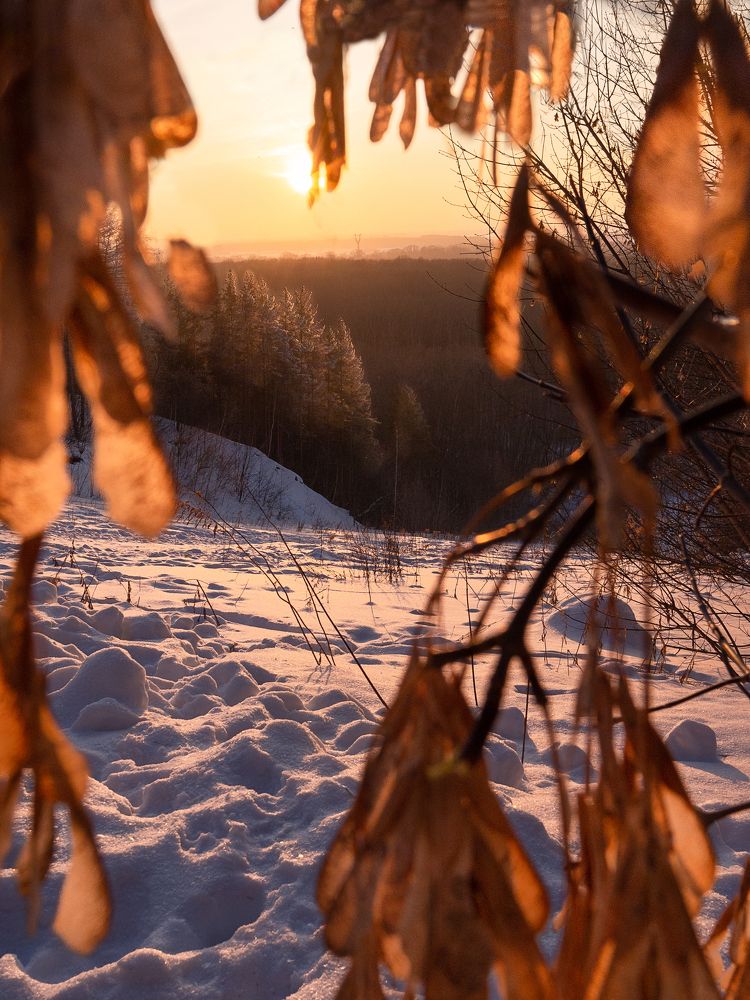 Photograph by Larisa Usova