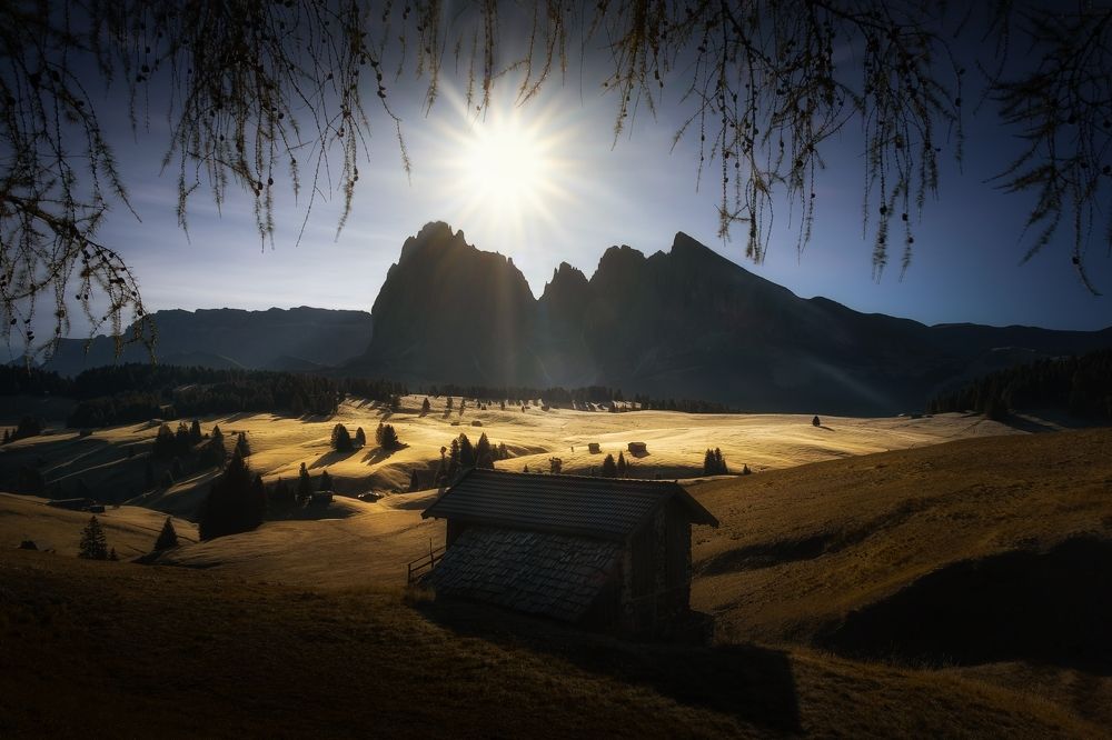 Photograph by David Ilkovic