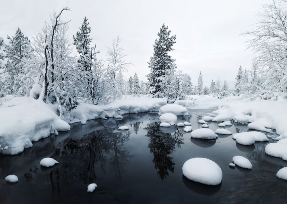 Photograph by Tatiana Meshcheryakova