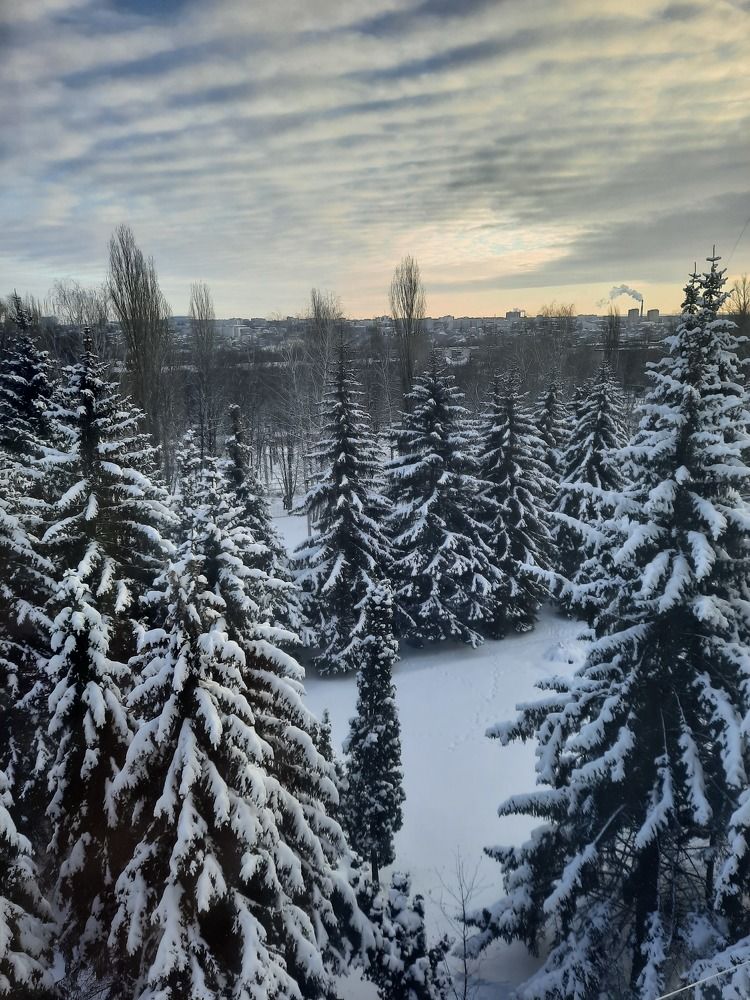 Фотография автора Irina Vornacheva