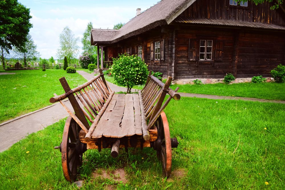 Photograph by Дарья Гомза