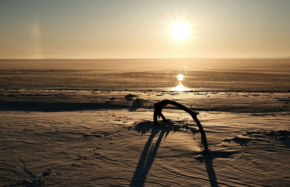 Photograph by Алексей Вагин