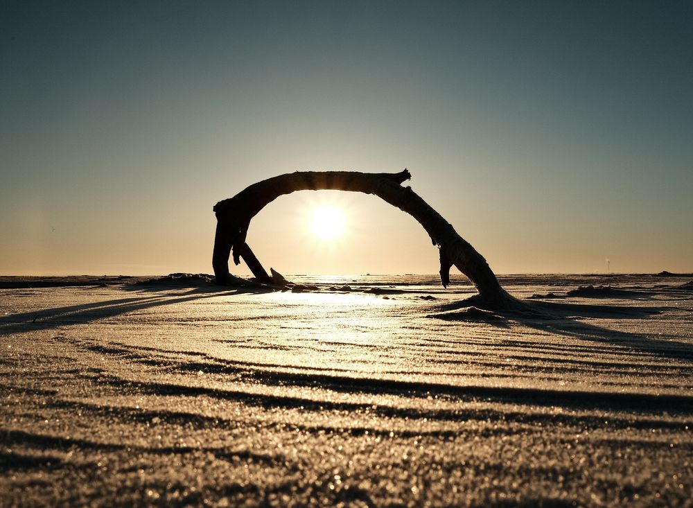 Photograph by Алексей Вагин