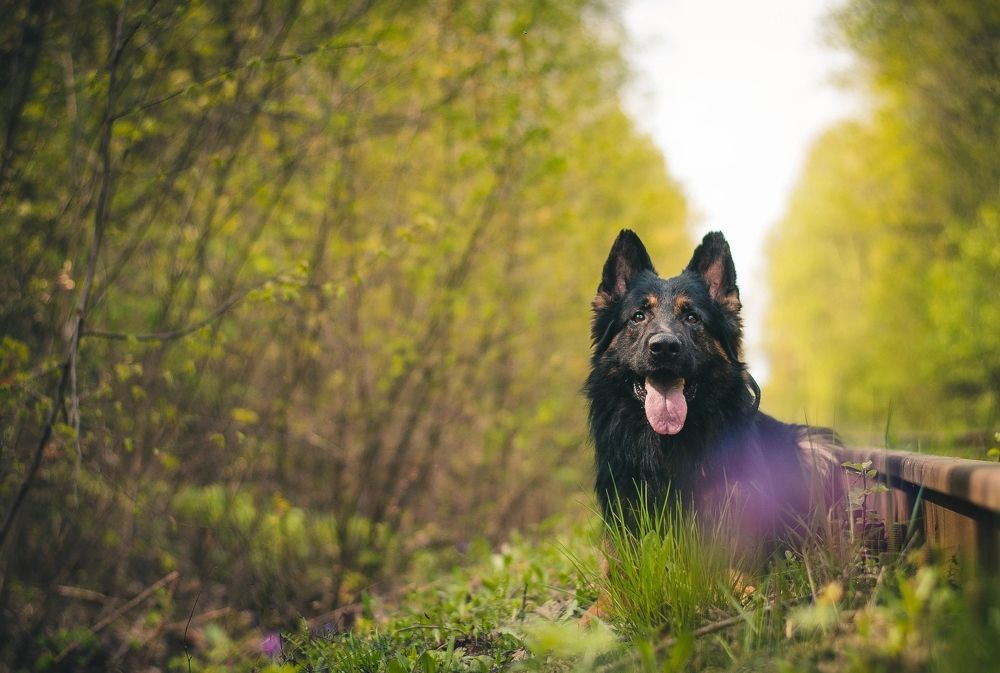 Photograph by Екатерина