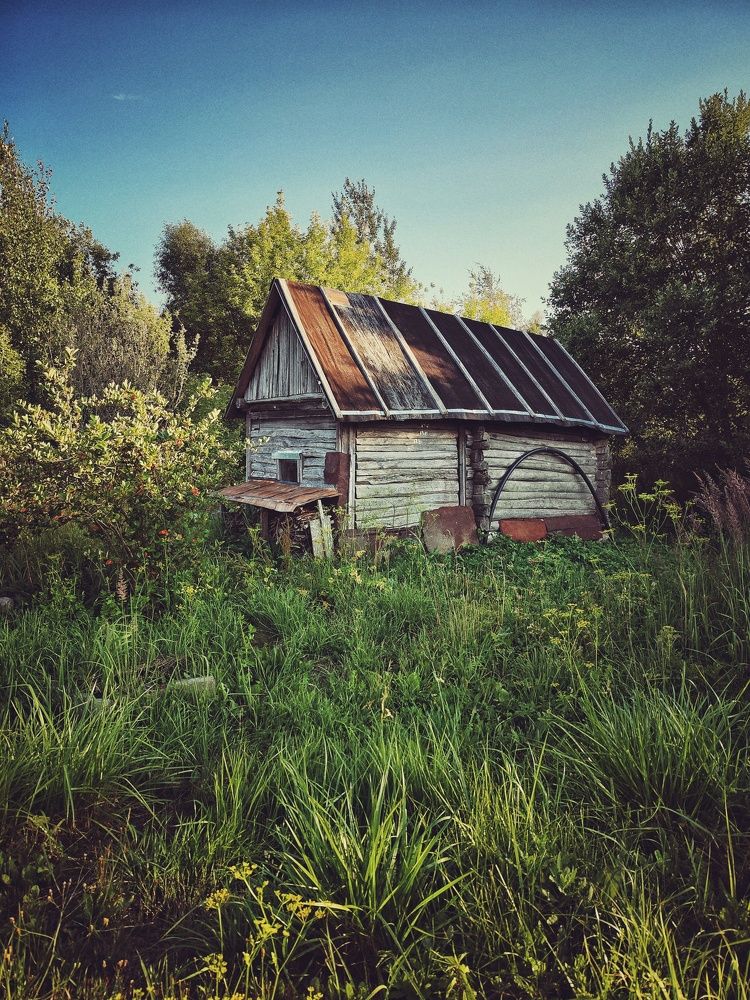 Photograph by Виктория Дайлидова