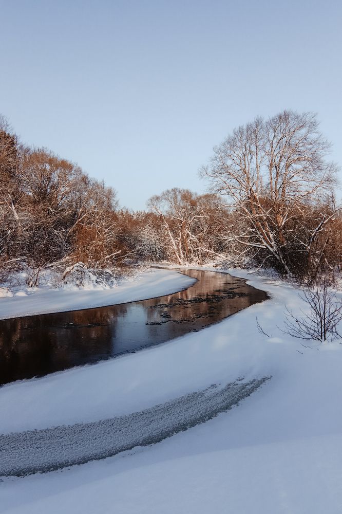 Фотография автора Олеся Шипихина