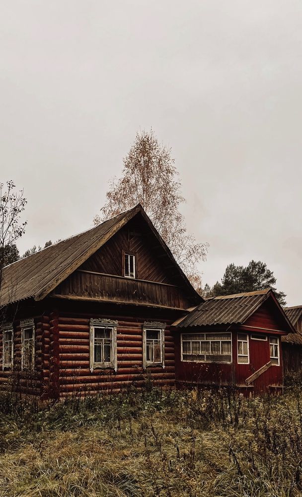 Фотография автора Олеся Шипихина