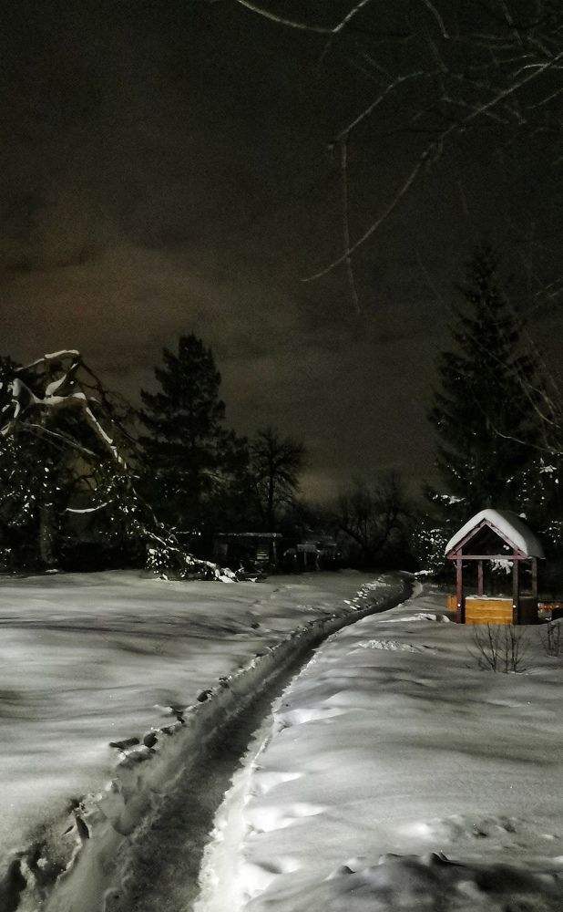 Photograph by Любовь Колмакова