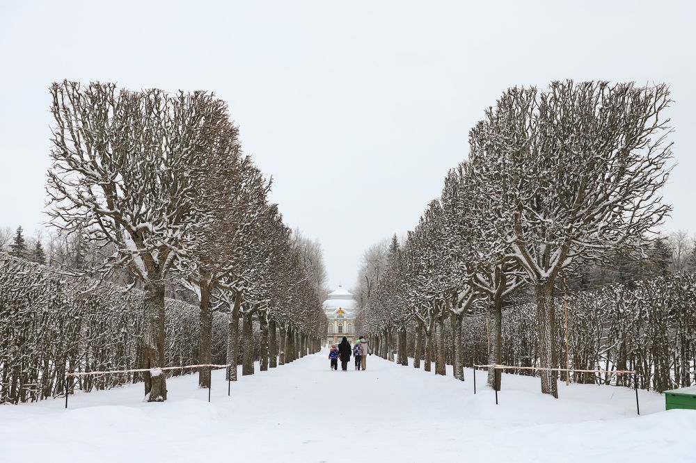 Photograph by Юлия Яковлева