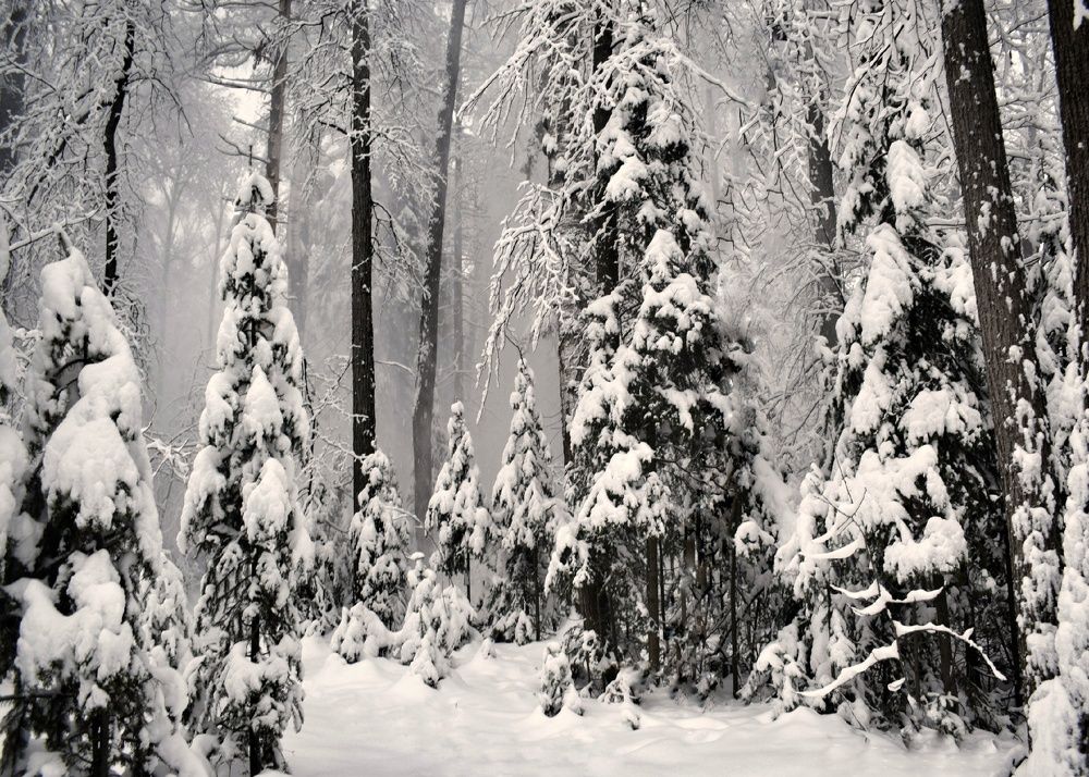 Photograph by Гульнара