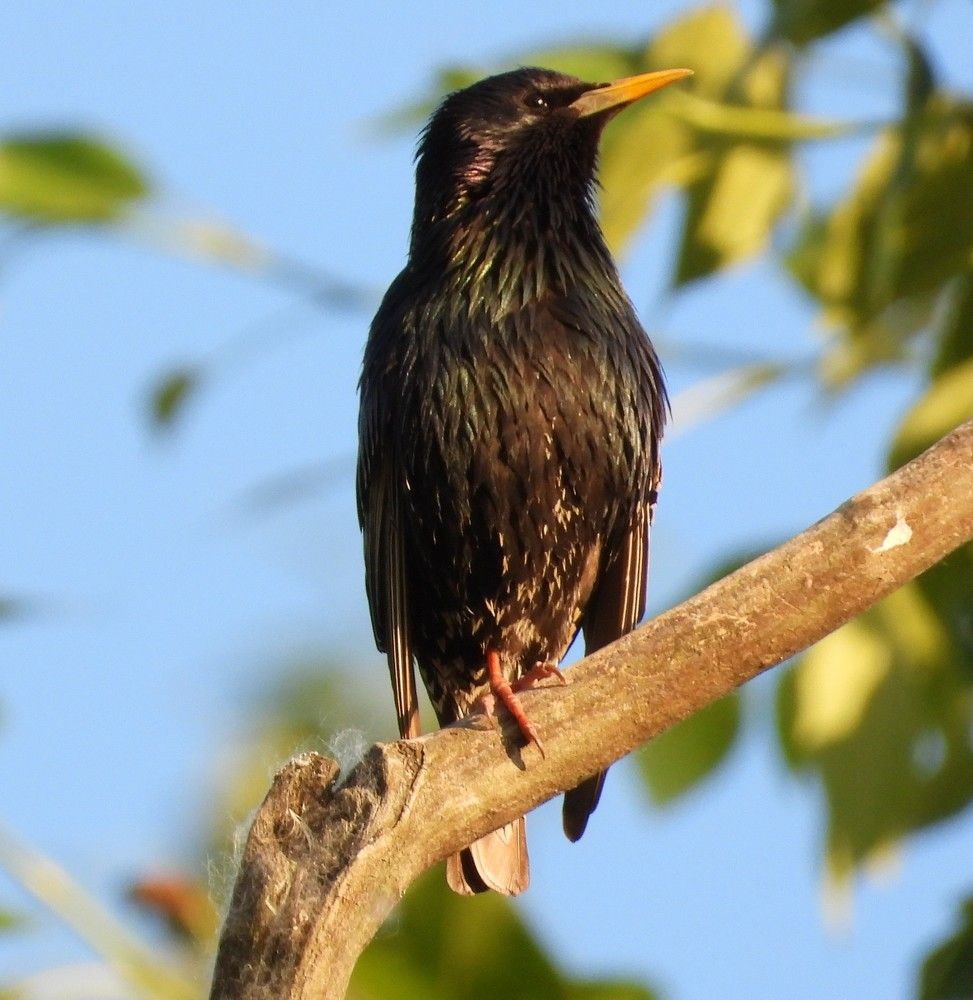Photograph by Владимир Джерихов