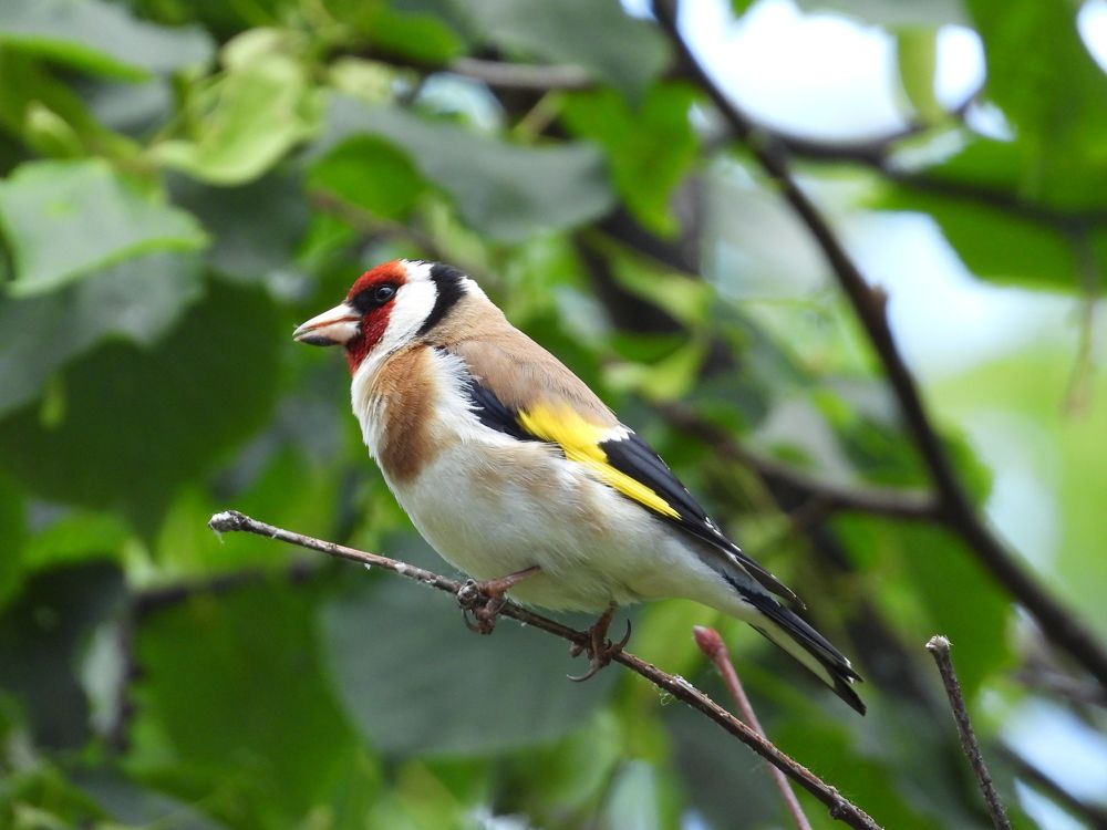 Photograph by Владимир Джерихов