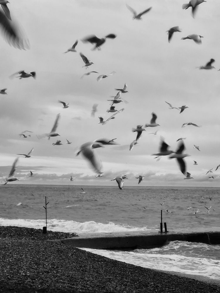 Photograph by Анна