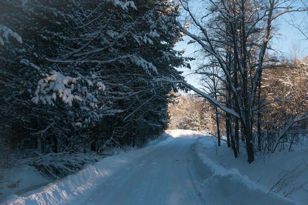 Фотография автора Войнов Дмитрий