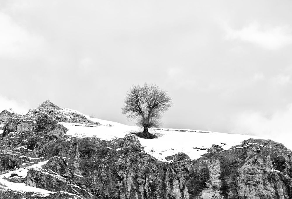 Photograph by Masoumeh Rahimi