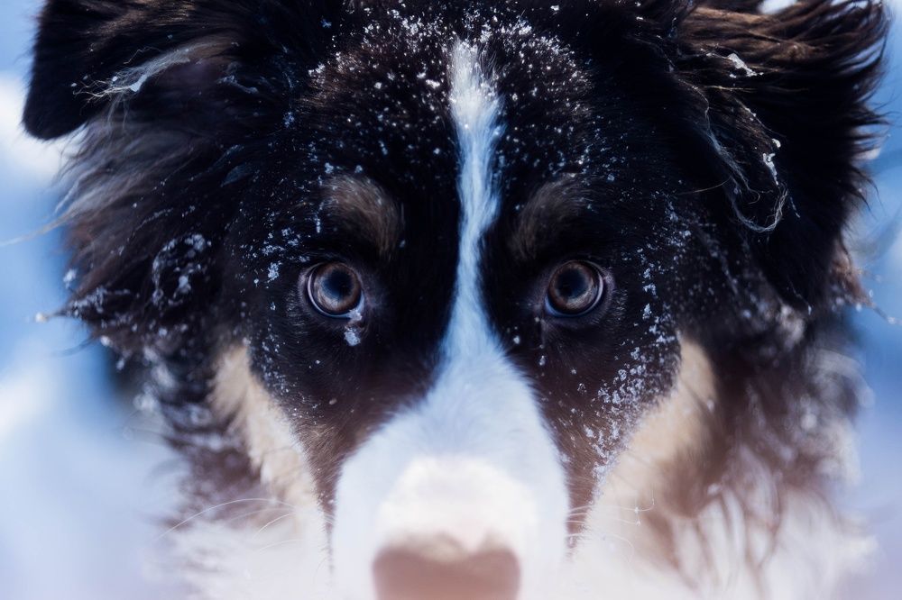 Photograph by Екатерина