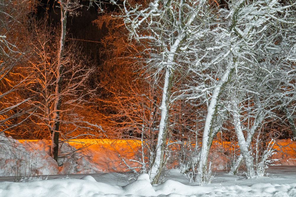 Photograph by Руслан Лесков