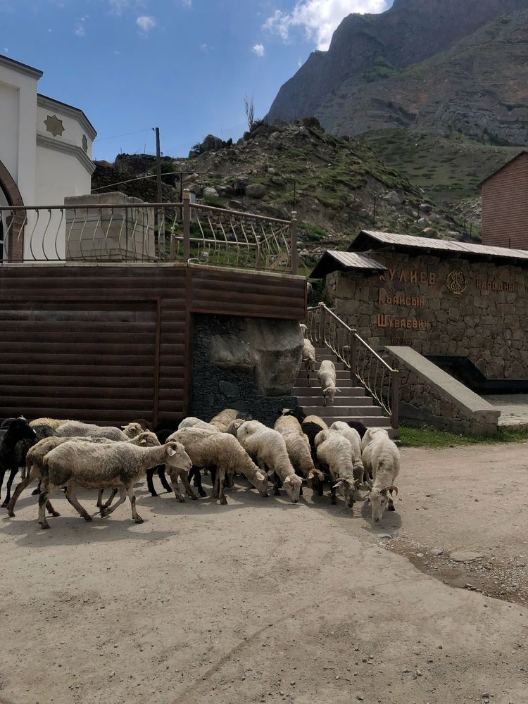 Photograph by Людмила Евстратова