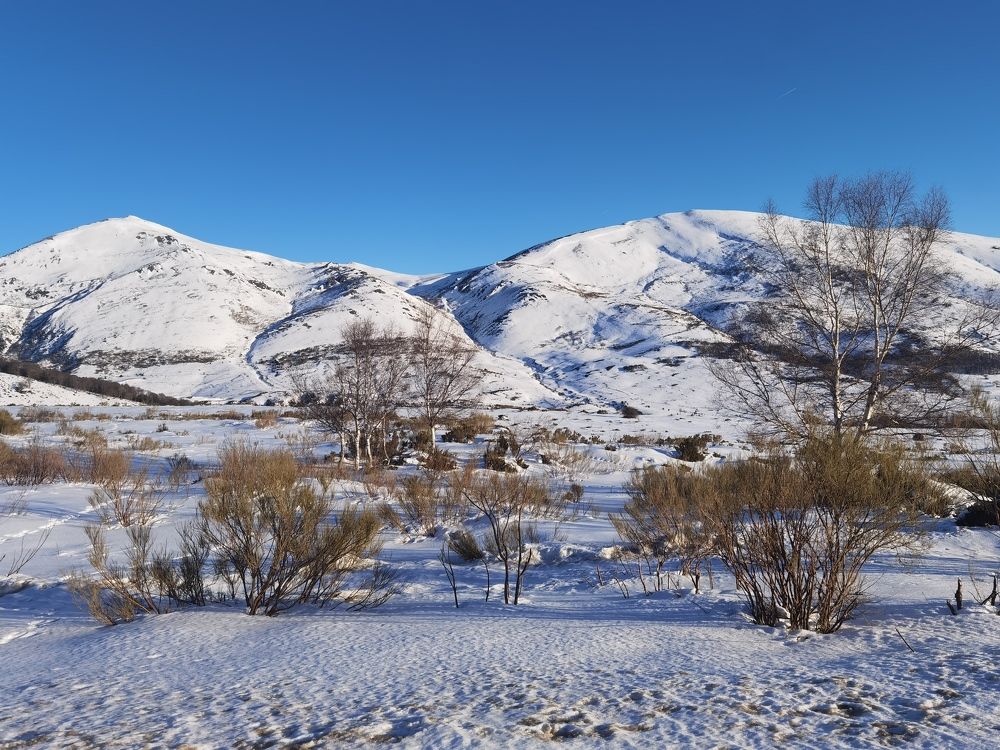 Фотография автора Алексей Головатый
