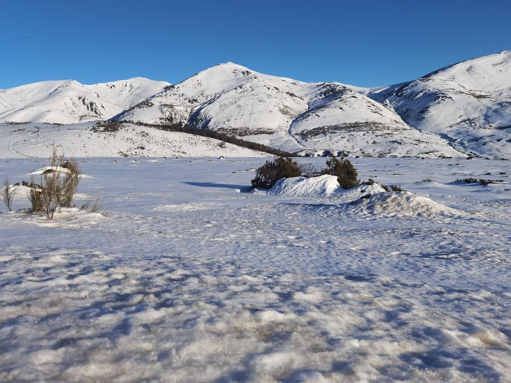 Фотография автора Алексей Головатый
