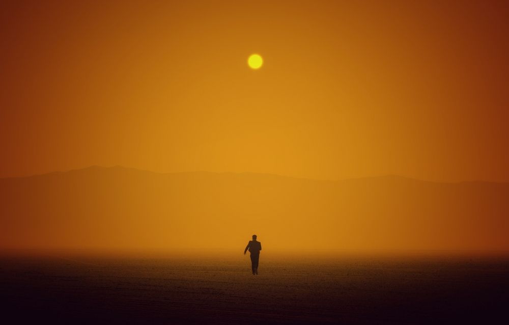 Фотография автора Alireza Bagheri sani