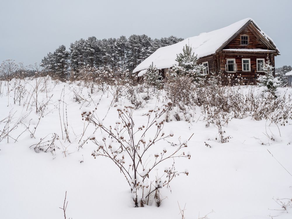 Photograph by Шейко Анна