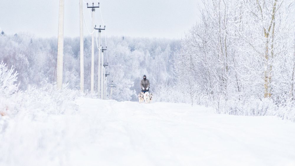 Photograph by Юлия Зубкова