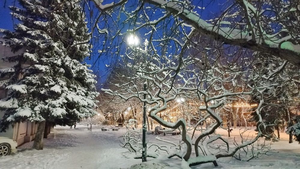 Photograph by Katerina Akalifa