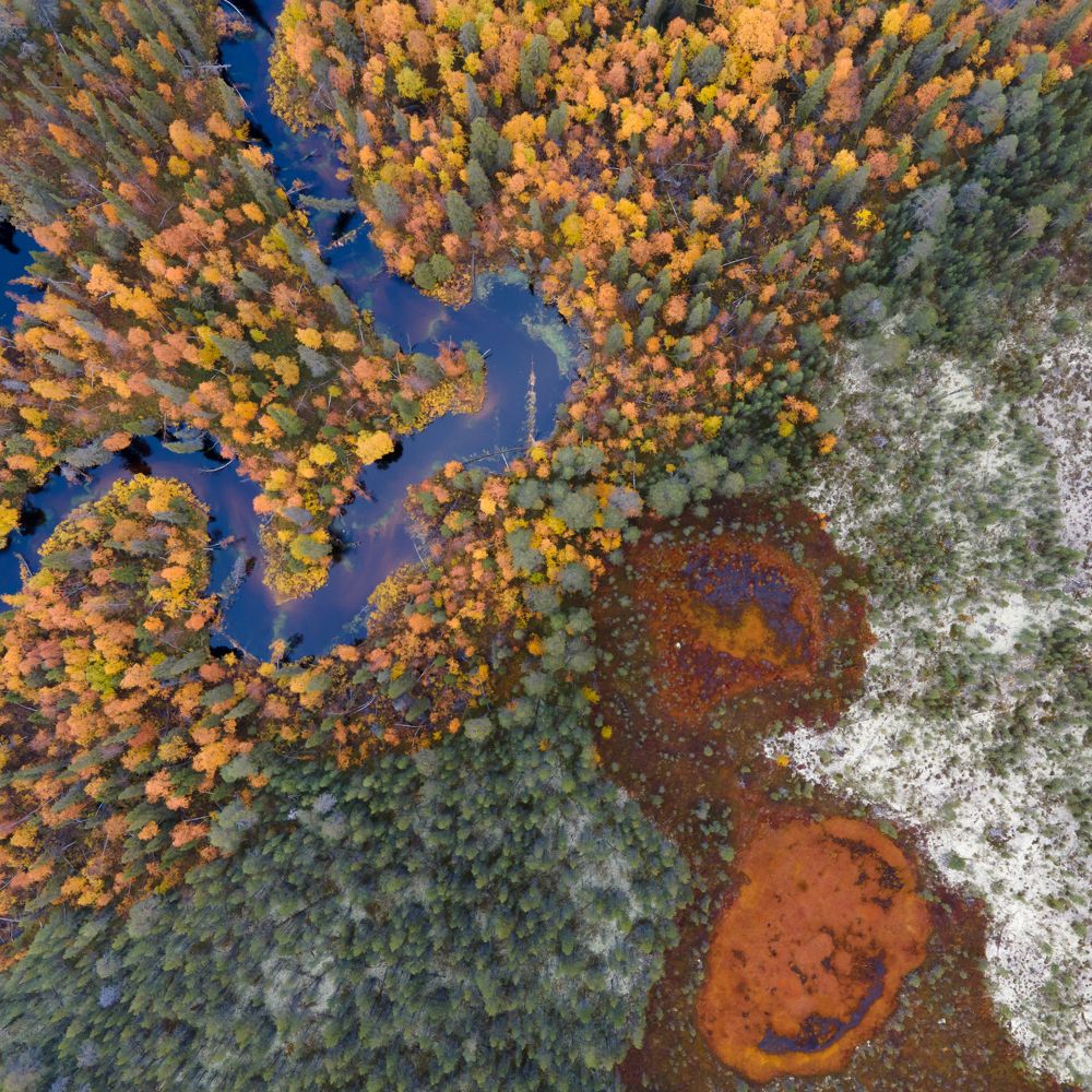 Противостояние