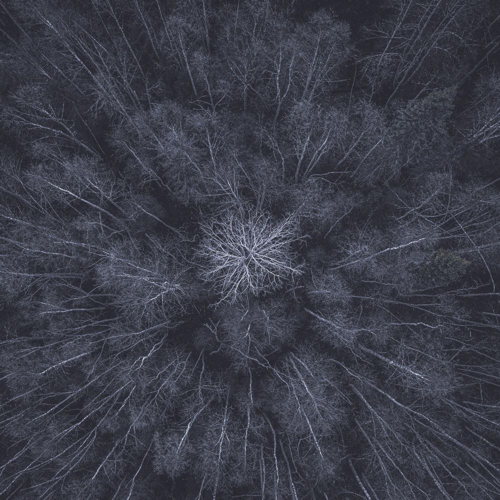 Photograph by Дмитрий Геращенко