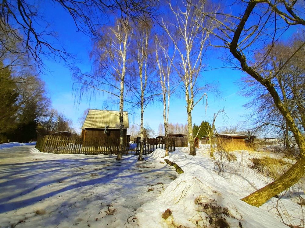 Photograph by Екатерина