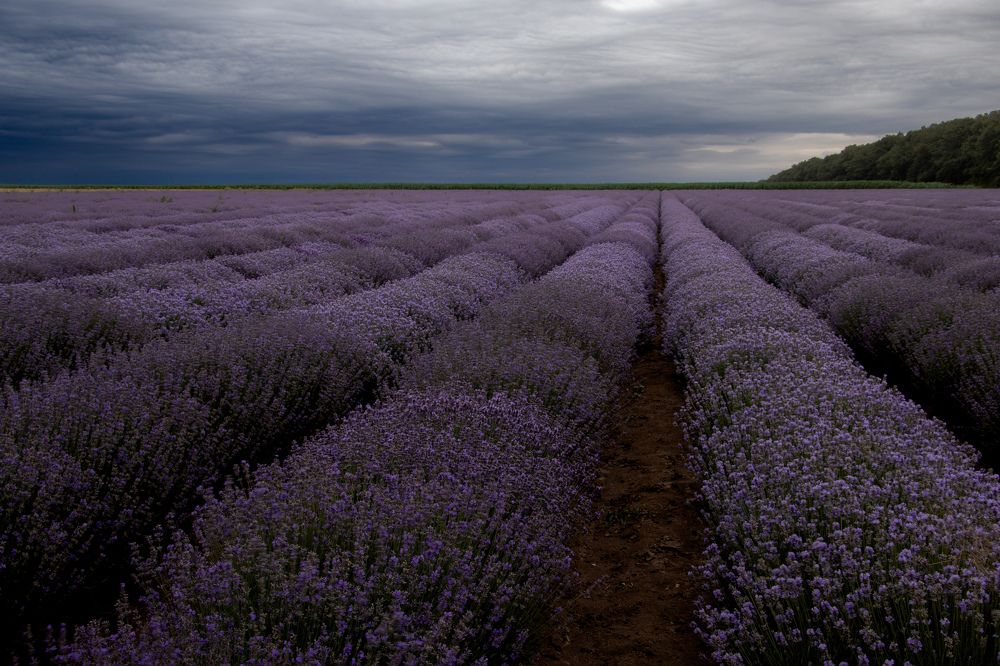 Photograph by Георги Иванов