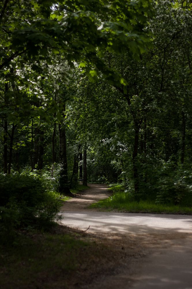 Фотография автора Софья Алексеева