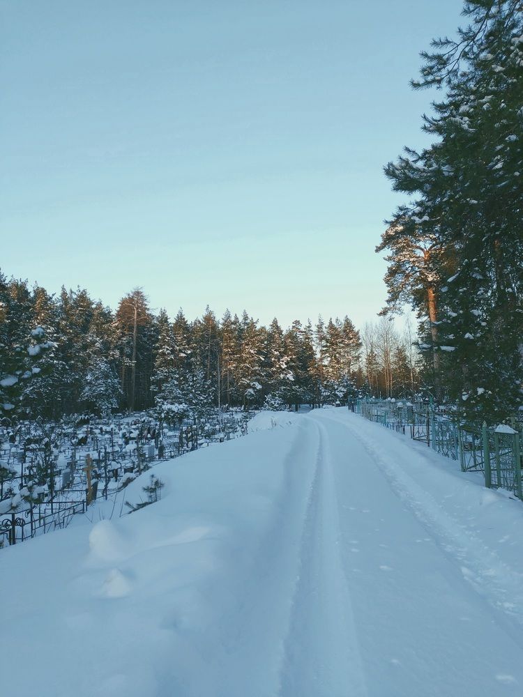 Фотография автора Софья Алексеева