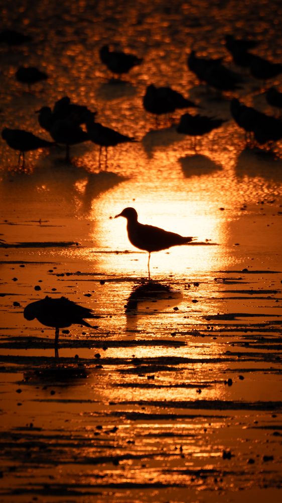 Alone but not lonely