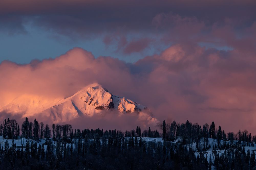 Photograph by Nella Shageeva