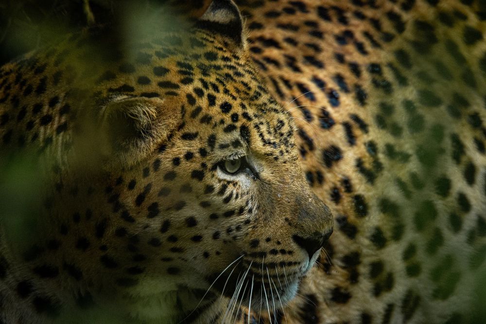 Photograph by james wasswa