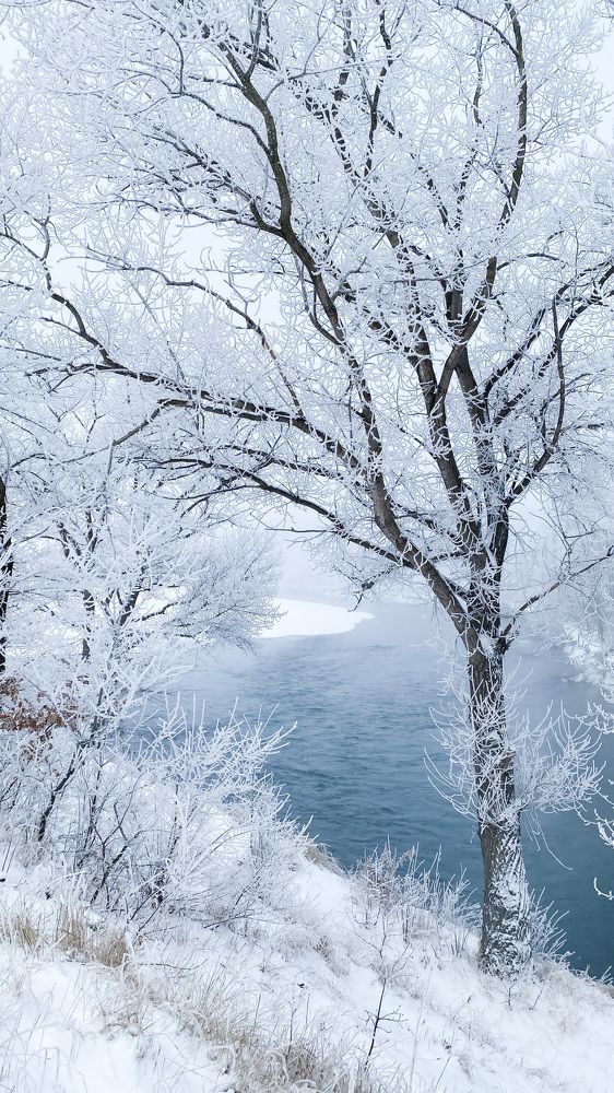 Photograph by Фисун Евгений