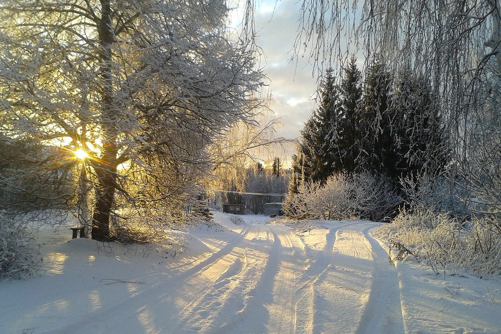 Photograph by Ирина Архипова