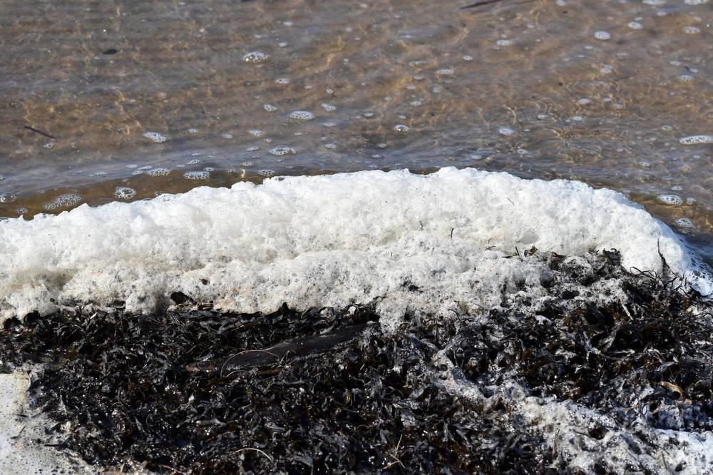 Картины морских волн / Sea wave paintings