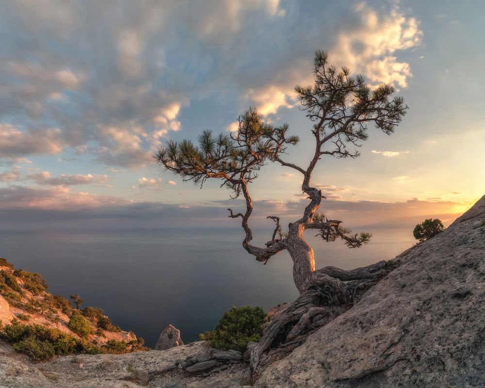 Photograph by Дмитренко Екатерина