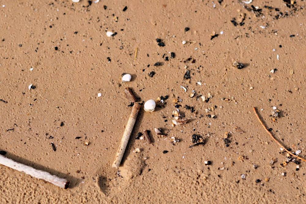 Картины на морском песке / Pictures on sea sand