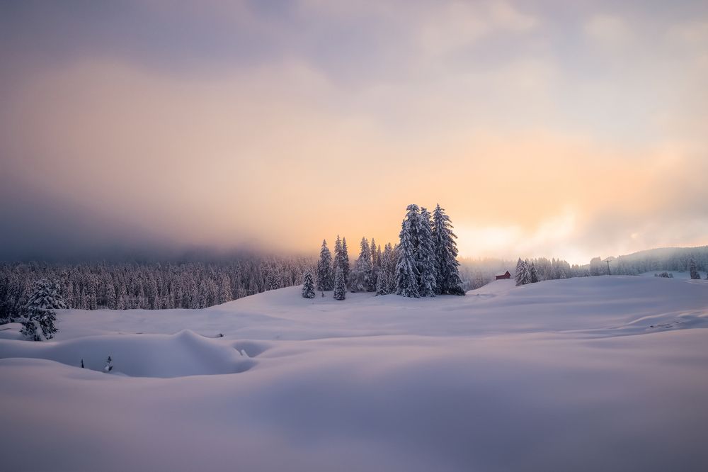 Photograph by Малика Маткарим