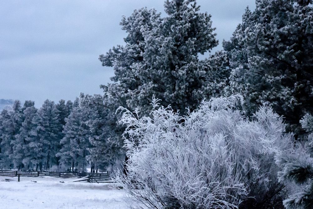 Photograph by Ирина Петракович