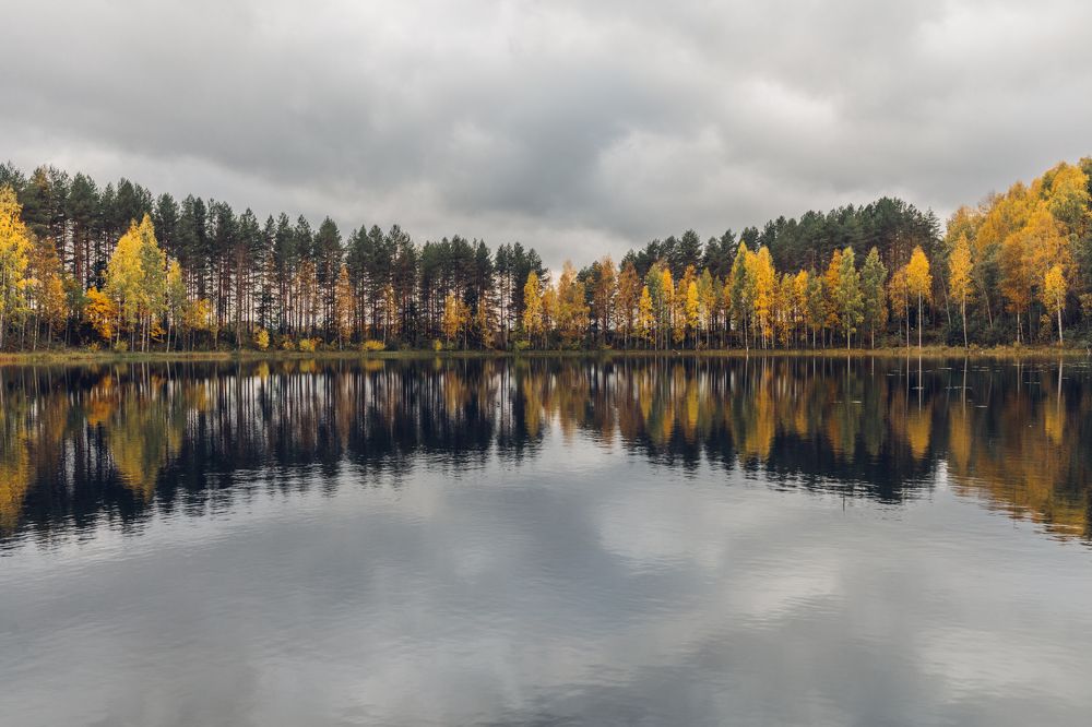 Photograph by Денис